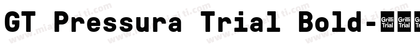 GT Pressura Trial Bold字体转换